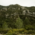 El Valle de la Murta. Alcira.